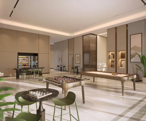 Entertainment Room